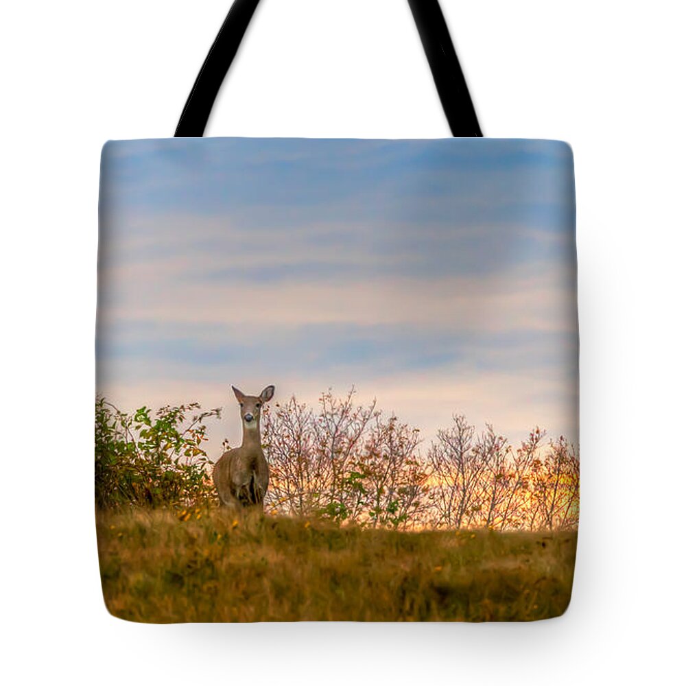  Tote Bag featuring the photograph Over The Hill by David Henningsen