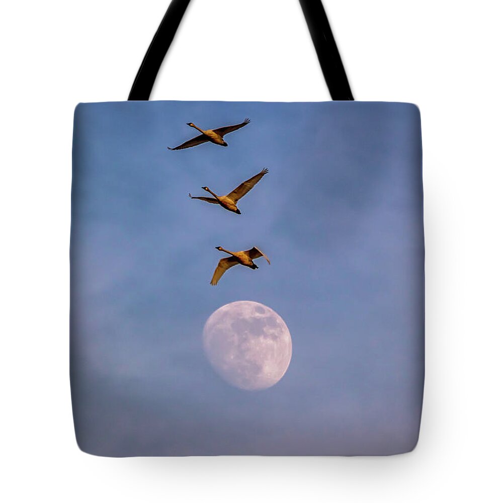 Oregon Tote Bag featuring the photograph Over the Moon by Marc Crumpler