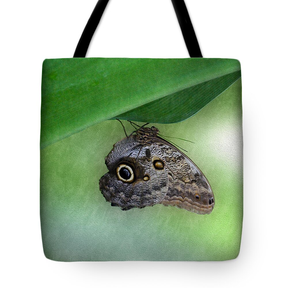 Bonnie Follett Tote Bag featuring the photograph Owl butterfly hanging by Bonnie Follett