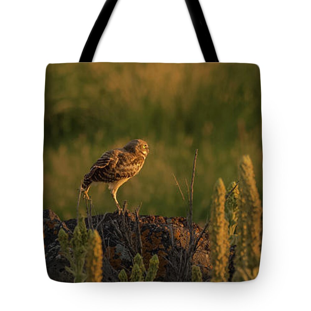Owl Tote Bag featuring the photograph Owl Dancing At Dusk by Yeates Photography