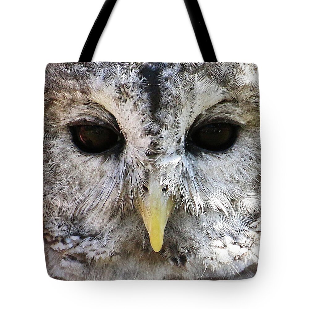 Wildlife Tote Bag featuring the photograph Owl Eyes by William Selander