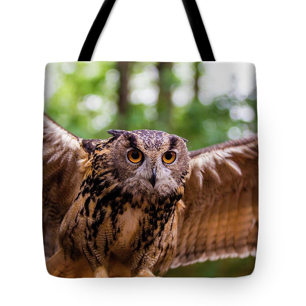 Owl Tote Bag featuring the digital art Owl by Maye Loeser