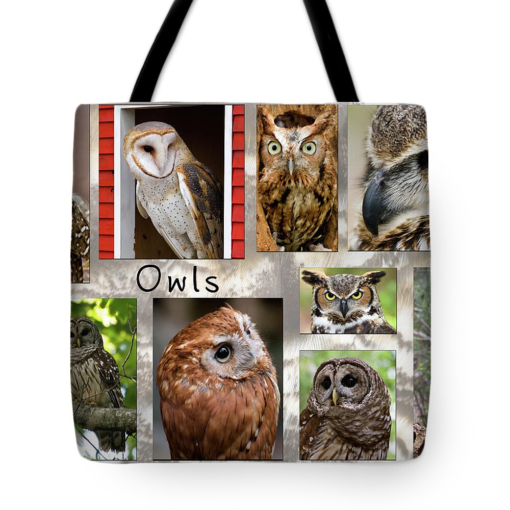 Owls Tote Bag featuring the photograph Owl Photomontage by Jill Lang