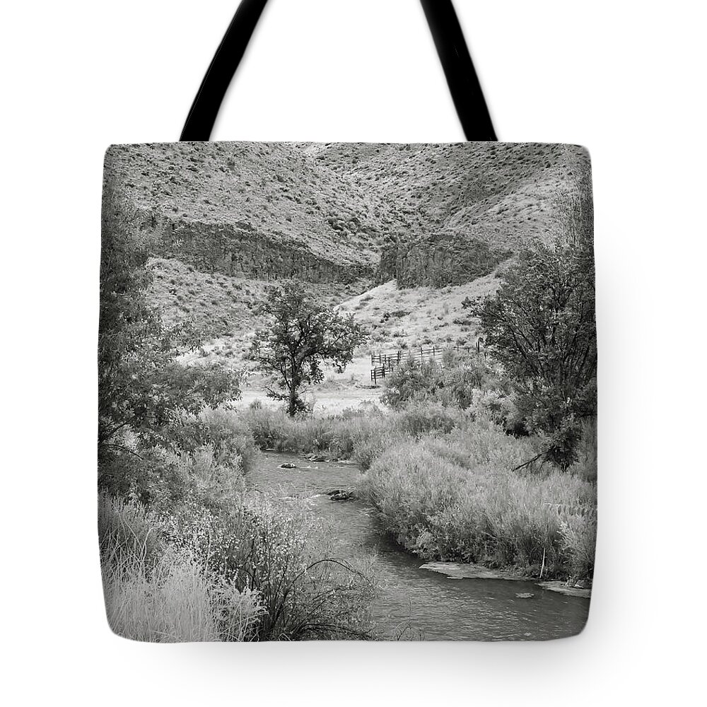 5dii Tote Bag featuring the photograph Owyhee River by Mark Mille