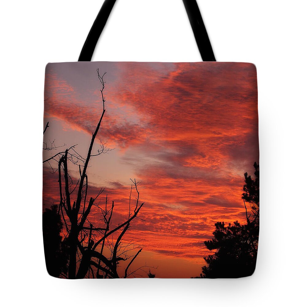 Dawn Tote Bag featuring the photograph Ozark Dawn by Michael Dougherty