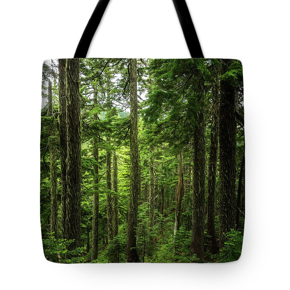 Scenic Tote Bag featuring the photograph Pacific Northwest Forest by Pelo Blanco Photo