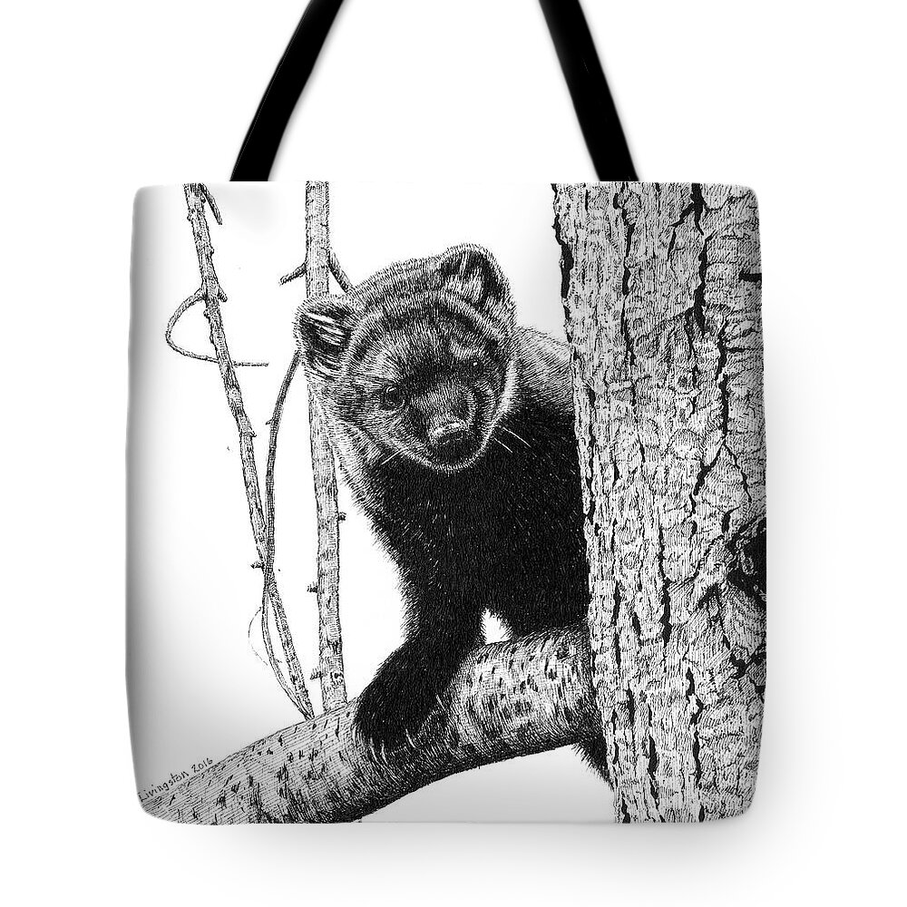 Fisher Tote Bag featuring the drawing Pacific Fisher by Timothy Livingston