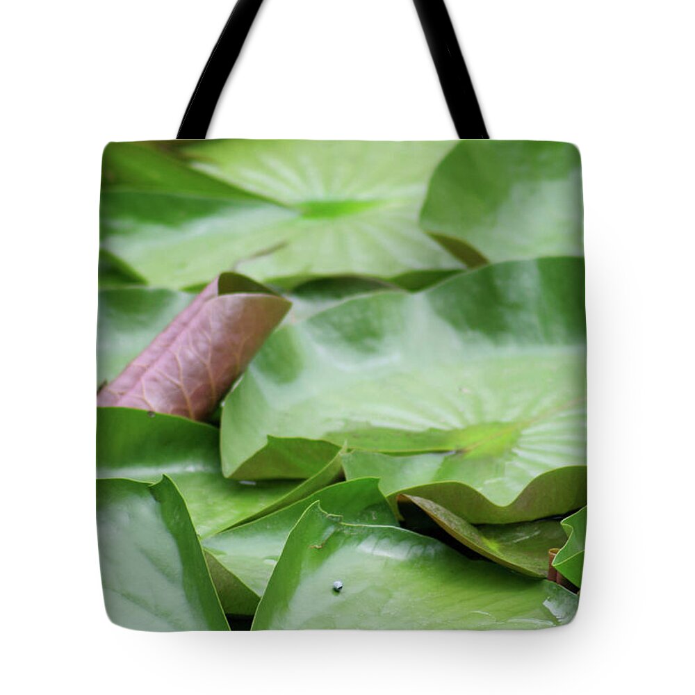 Lily Pad Tote Bag featuring the photograph Pad Podium by Mary Anne Delgado