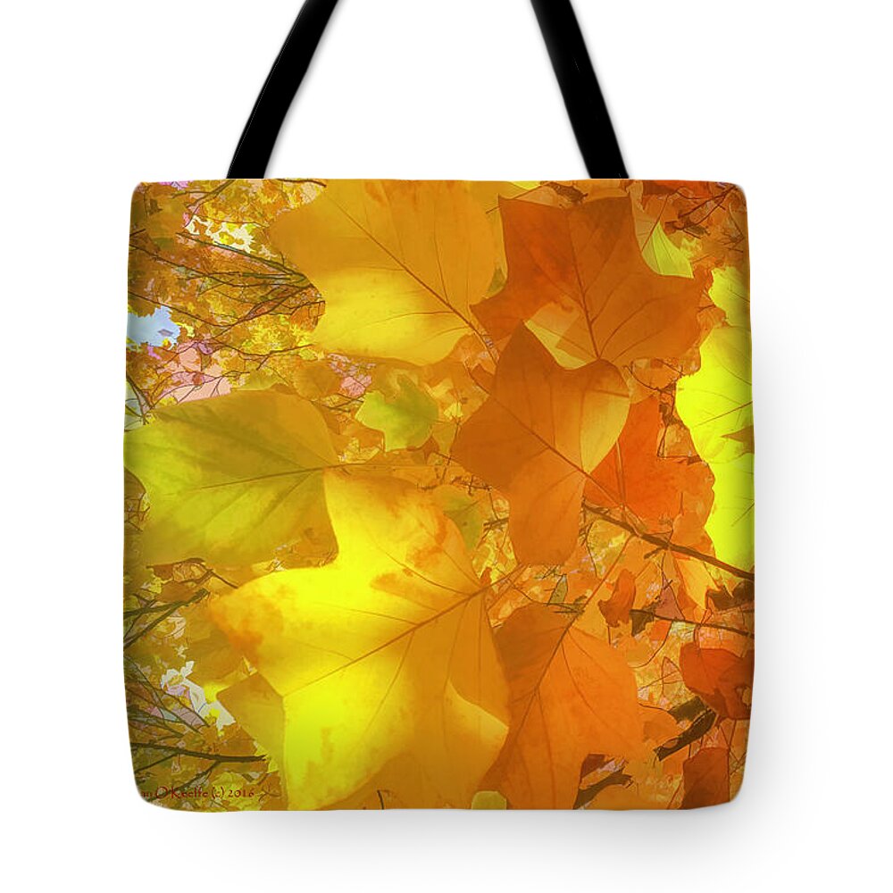 Maple Tote Bag featuring the digital art Painted Autumn Leaves by Jean OKeeffe Macro Abundance Art