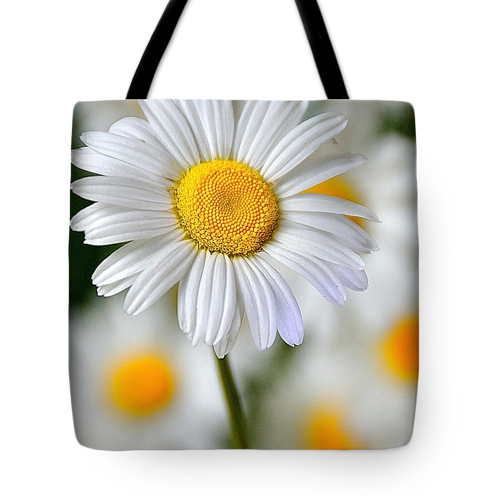 Flower Tote Bag featuring the photograph Painted Daisies by Mark Fuller