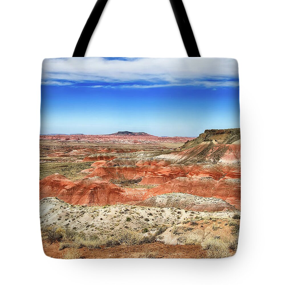 Painted Desert National Park Tote Bag featuring the photograph Painted Desert 2 by Teresa Zieba
