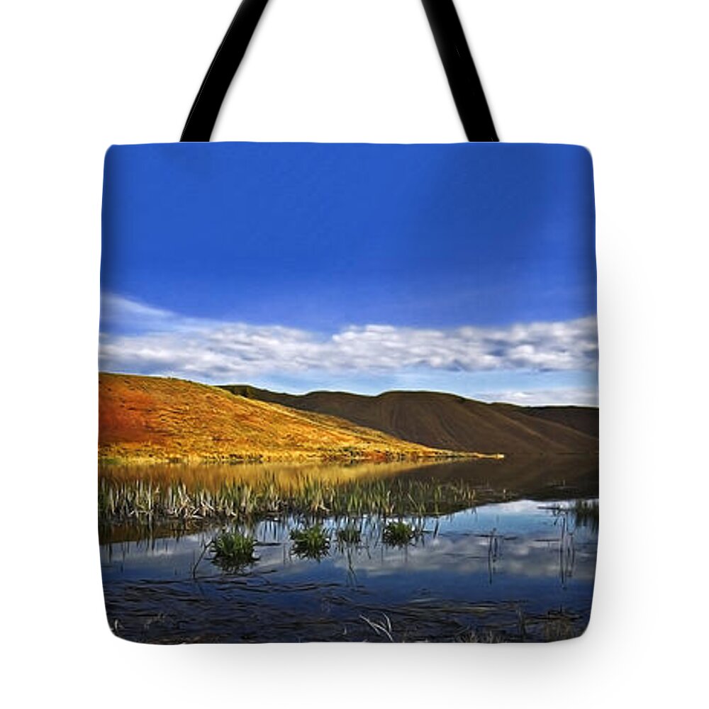 Painted Hills Tote Bag featuring the photograph Oregon Painted Hills Reflections by John Christopher