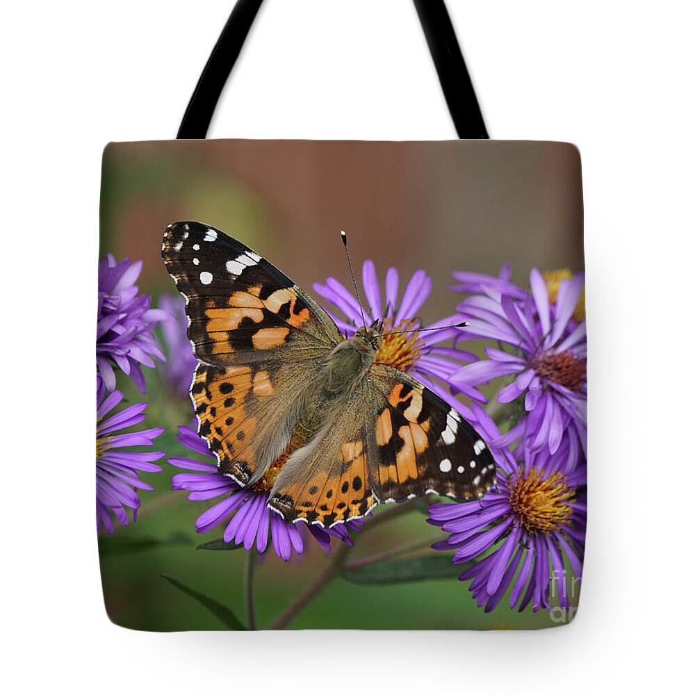 Painted Lady Tote Bag featuring the photograph Painted Lady Butterfly and Aster Flowers 4x3 by Robert E Alter Reflections of Infinity
