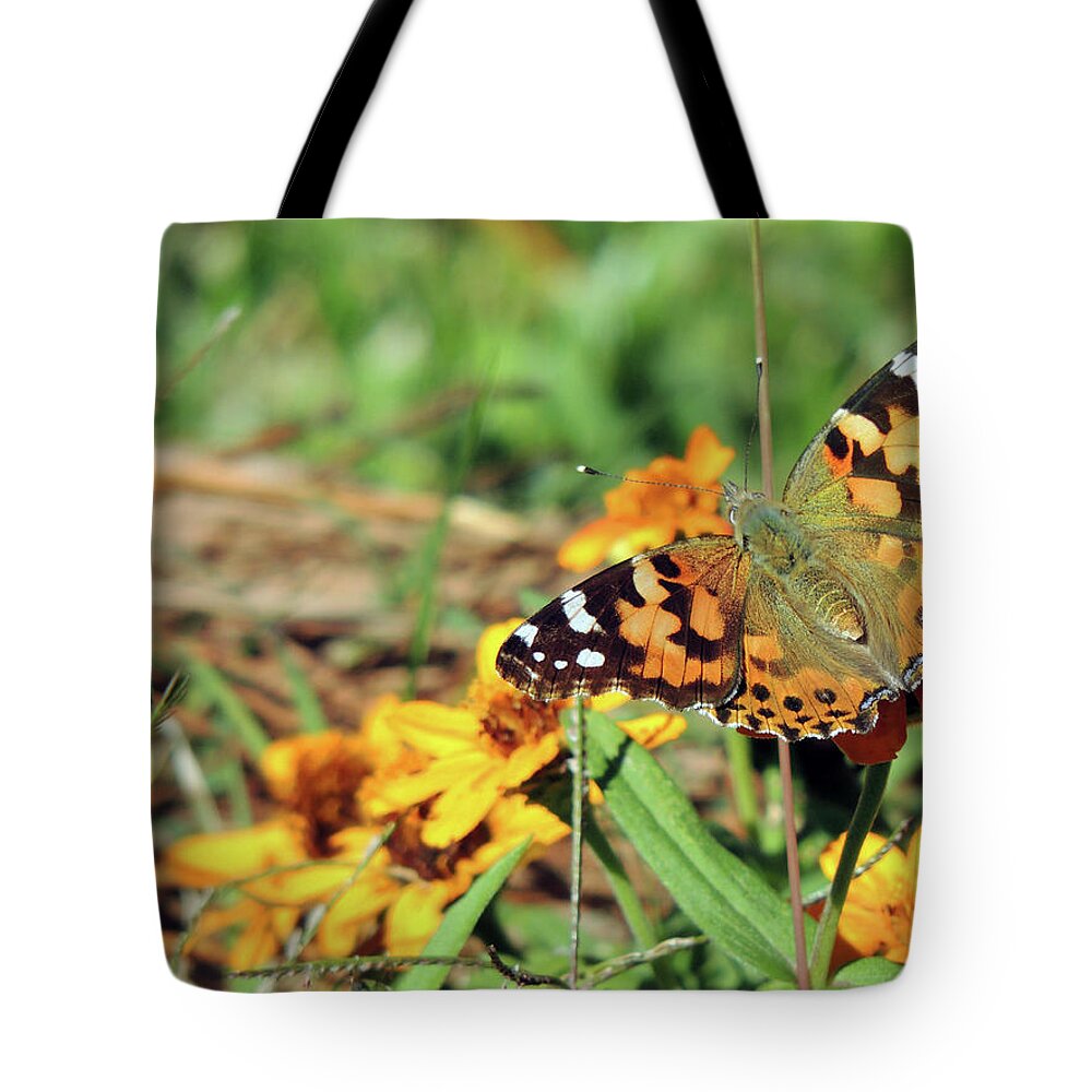 Orange Tote Bag featuring the photograph Painted Lady on Zinnia by Jayne Wilson