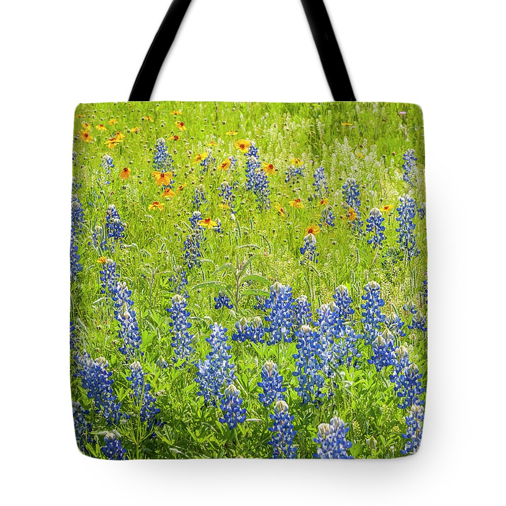 Texas Tote Bag featuring the photograph Painterly scenes from Texas. by Usha Peddamatham
