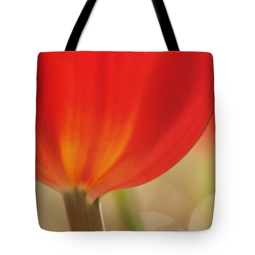 Flowers Tote Bag featuring the photograph Painterly Tulip II by Dorothy Lee