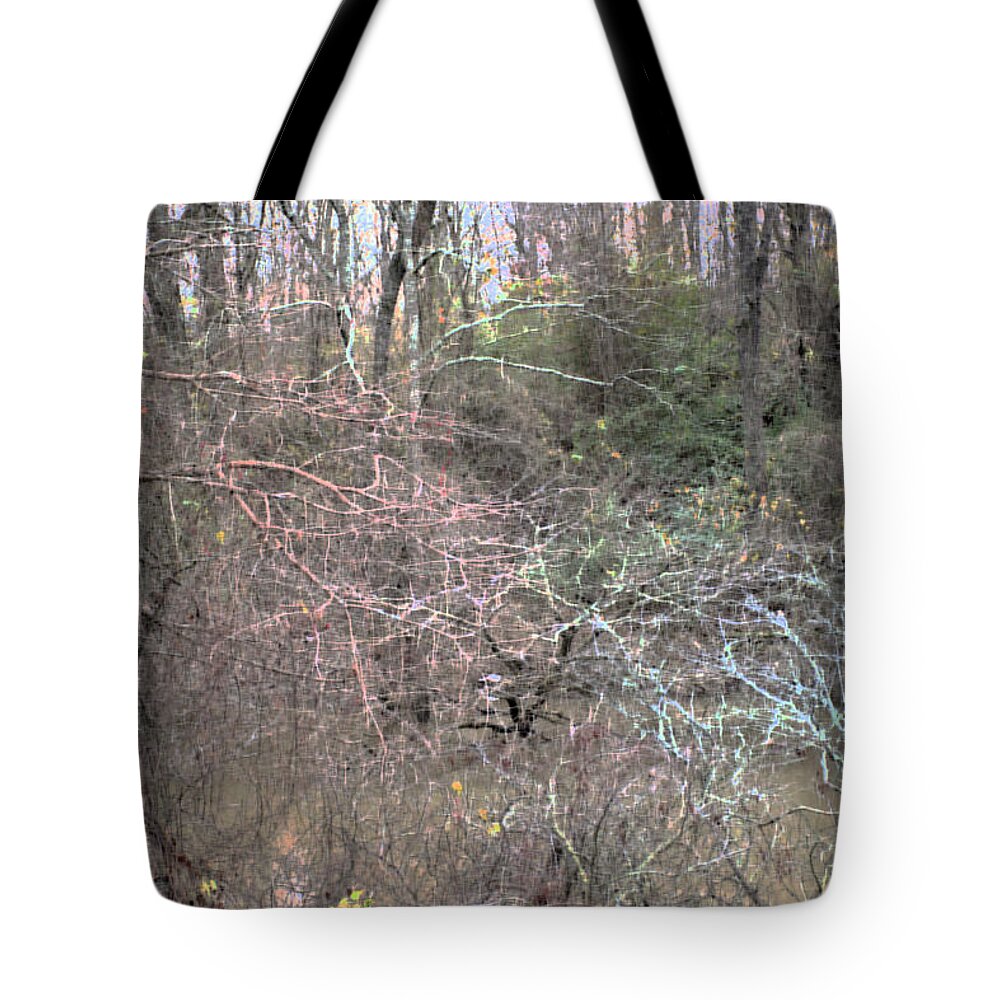 Bayou Tote Bag featuring the photograph Painting on the Bayou by Gina O'Brien