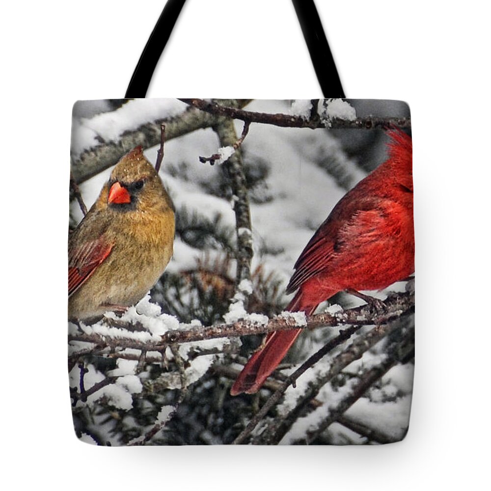 Cardinals Tote Bag featuring the photograph Pair of Cardinals in Winter by Peg Runyan