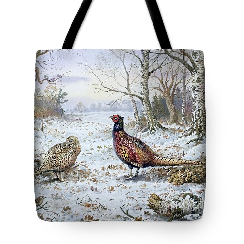 Game Bird; Snow; Woodland; Perdrix; Faisan; Troglodyte; Pheasant; Pheasants; Tree; Trees; Bird; Animals Tote Bag featuring the painting Pair of Pheasants with a Wren by Carl Donner