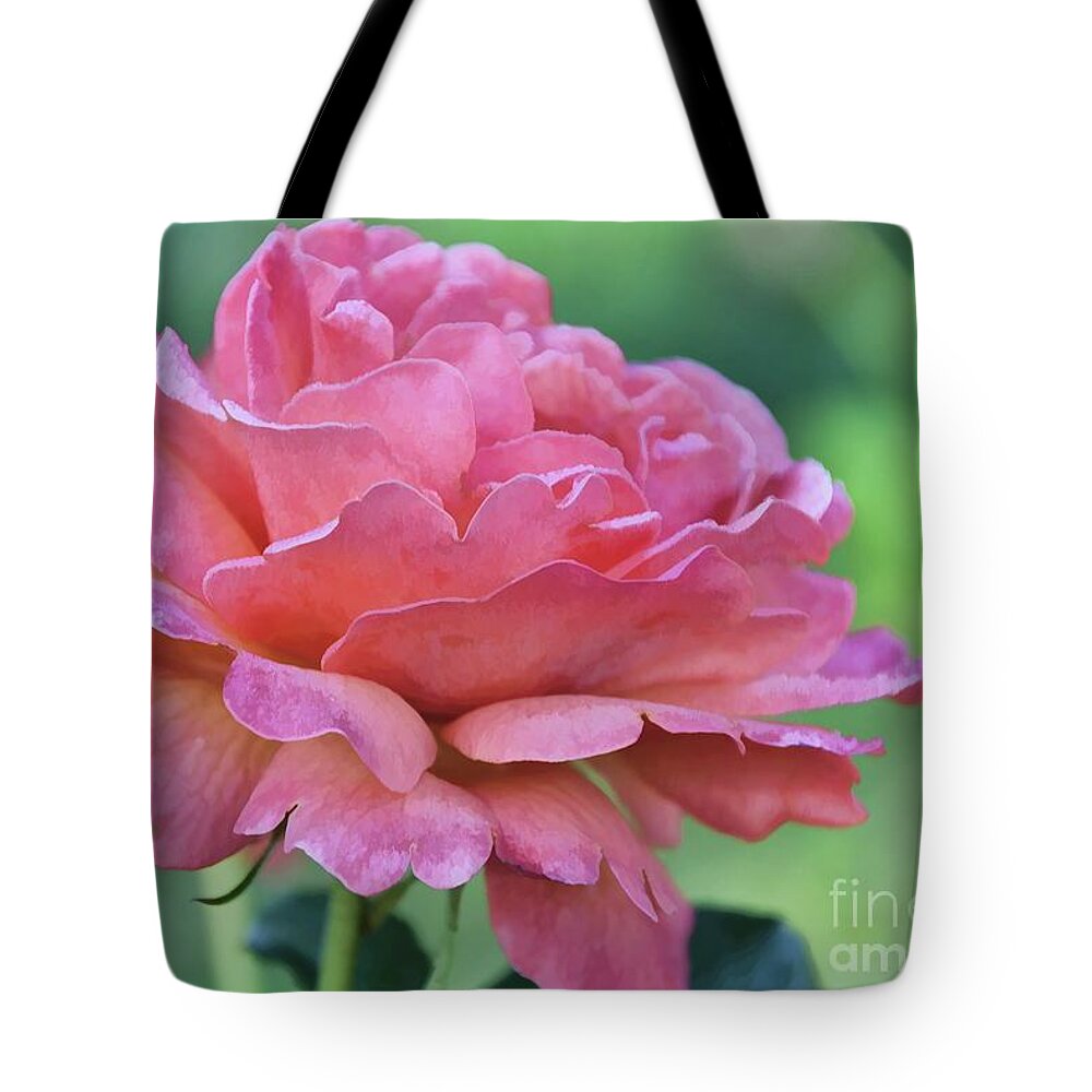 Light Tote Bag featuring the photograph Pale Blush by Diana Mary Sharpton