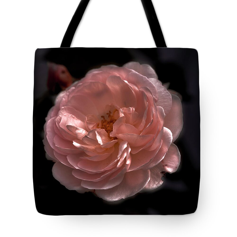 Pale Tote Bag featuring the photograph Pale #g1 by Leif Sohlman