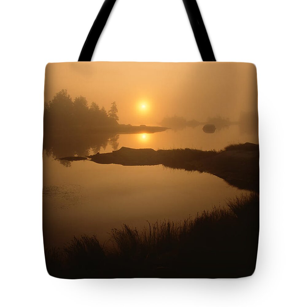 Coastal Tote Bag featuring the photograph Pale Sunrise by Irwin Barrett