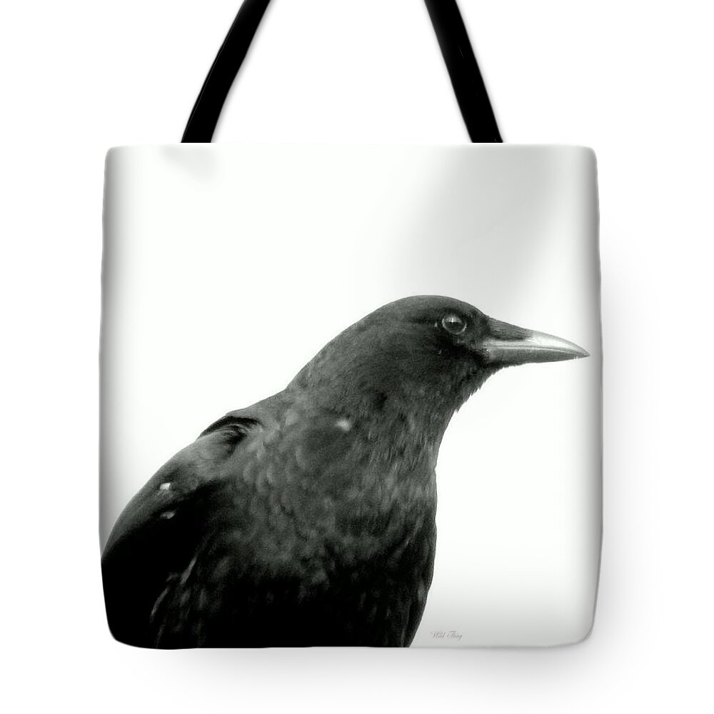 Crow Tote Bag featuring the photograph Pallas by Wild Thing