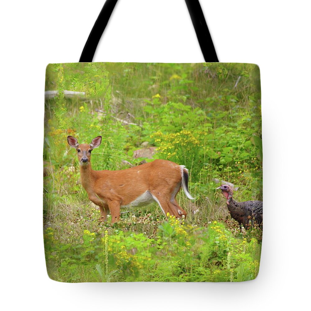 Deer Tote Bag featuring the photograph Palling Around by Harry Moulton