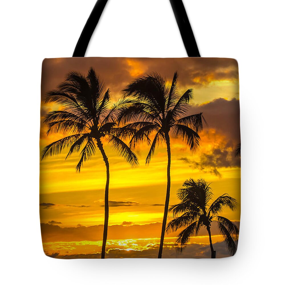  Tote Bag featuring the photograph Palm Family by Micah Roemmling