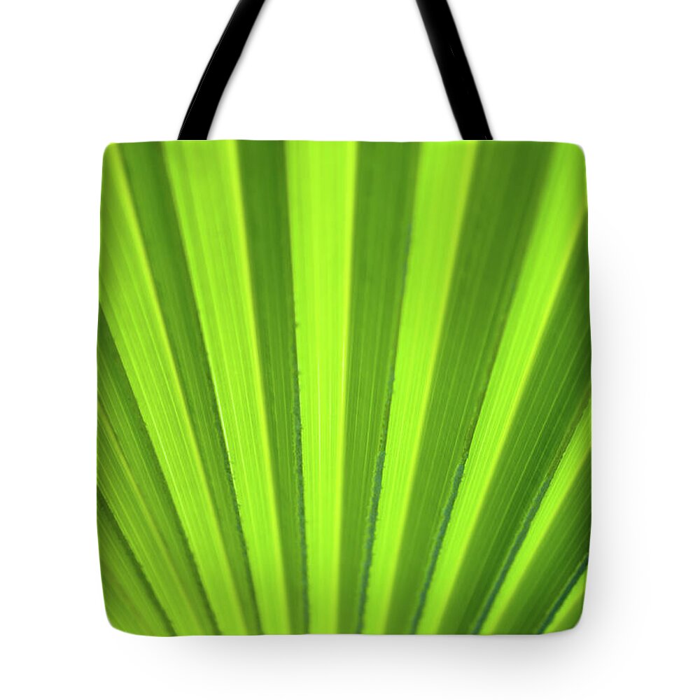 Abstract Tote Bag featuring the photograph Palm Leaf Abstract by Denise Bird