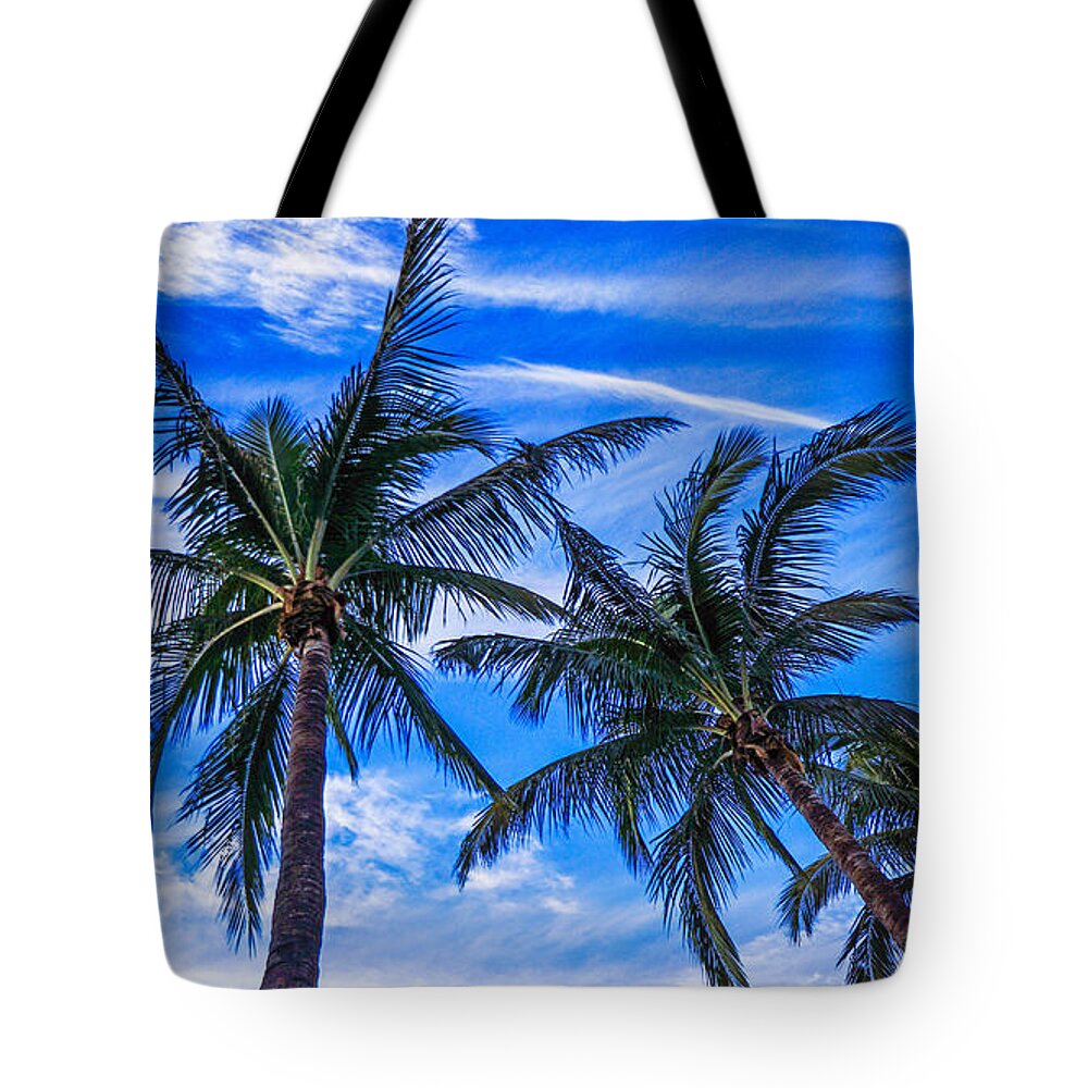 Trees Tote Bag featuring the photograph Palm Row Blues by Lawrence S Richardson Jr