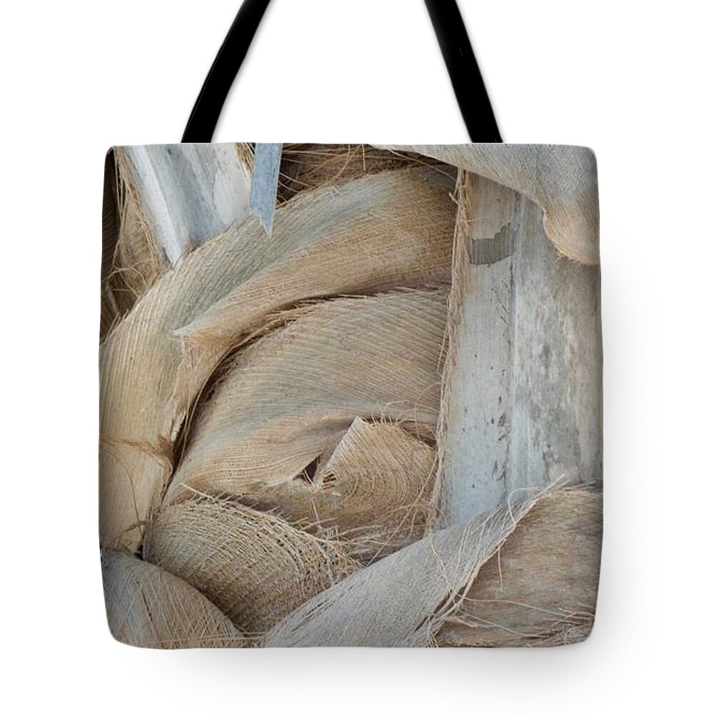 Palm Trunk Pattern Texture Tote Bag featuring the photograph Palm Series 1-2 by J Doyne Miller