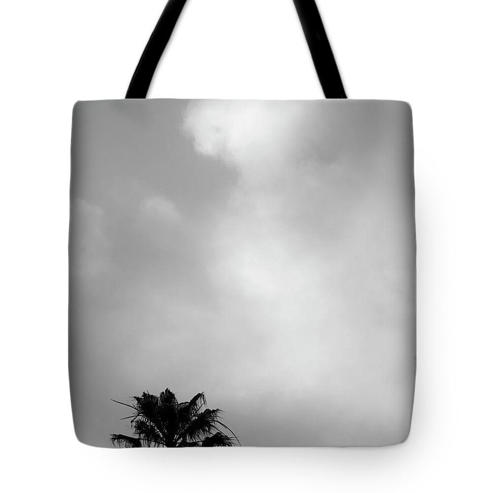Palm Tote Bag featuring the photograph Palm Tree and Clouds by David Gordon