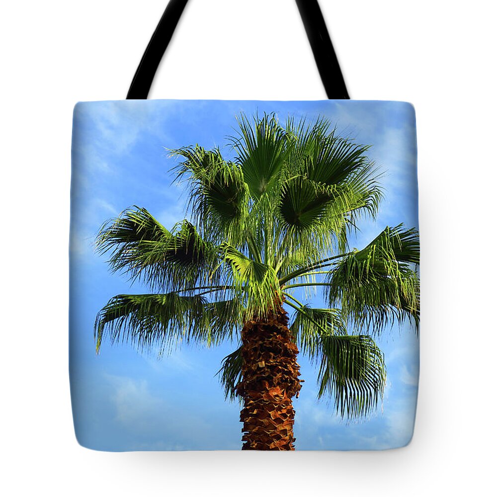 Palm Tree Tote Bag featuring the photograph Palm Tree, Blue Sky, Wispy Clouds by Ram Vasudev