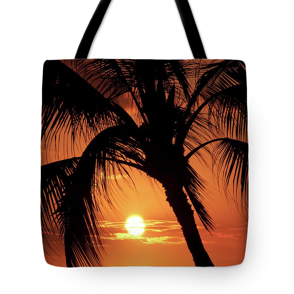 Palm Tree Tote Bag featuring the photograph Palm Tree Silhouette by Christopher Johnson