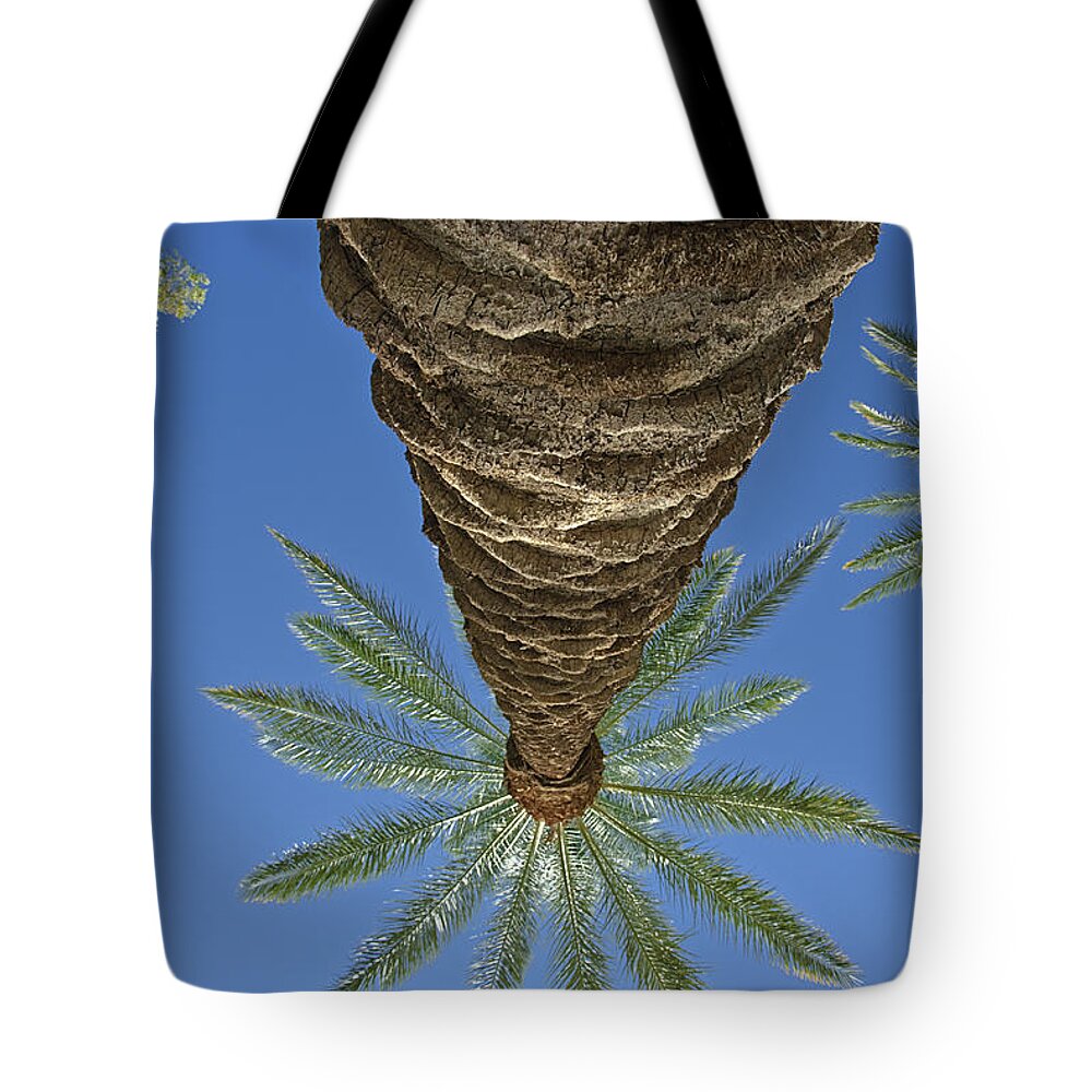 Palm Tree Looking Up Tote Bag featuring the photograph Palm Trees Looking Up 4 by David Zanzinger