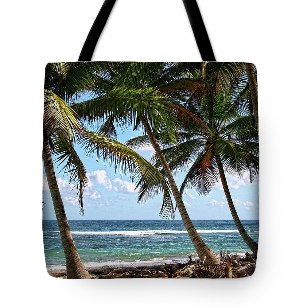  Tote Bag featuring the photograph Palm Walk by Robert Och
