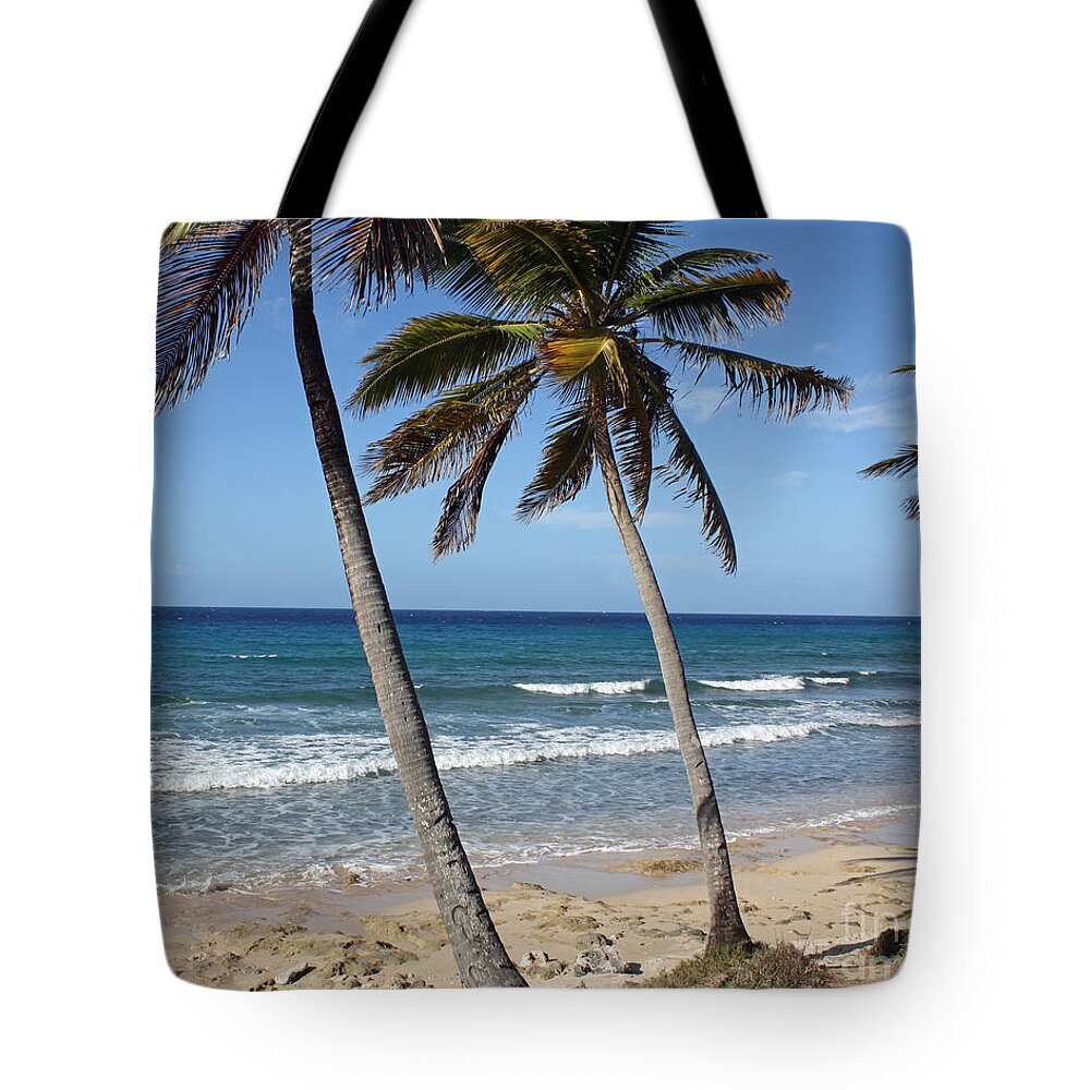 Palm Tree Tote Bag featuring the photograph Palms by Kelly Holm
