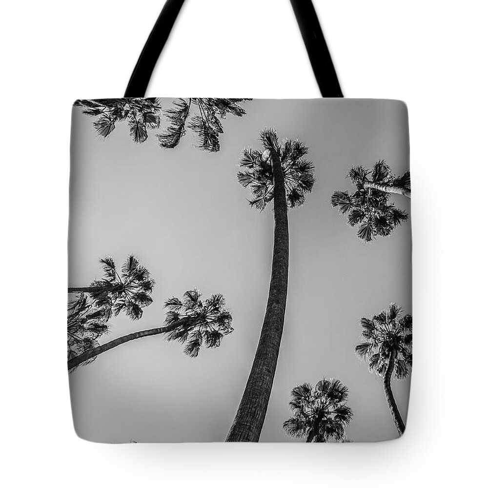 Palm Trees Tote Bag featuring the photograph Palms Up II by Ryan Weddle