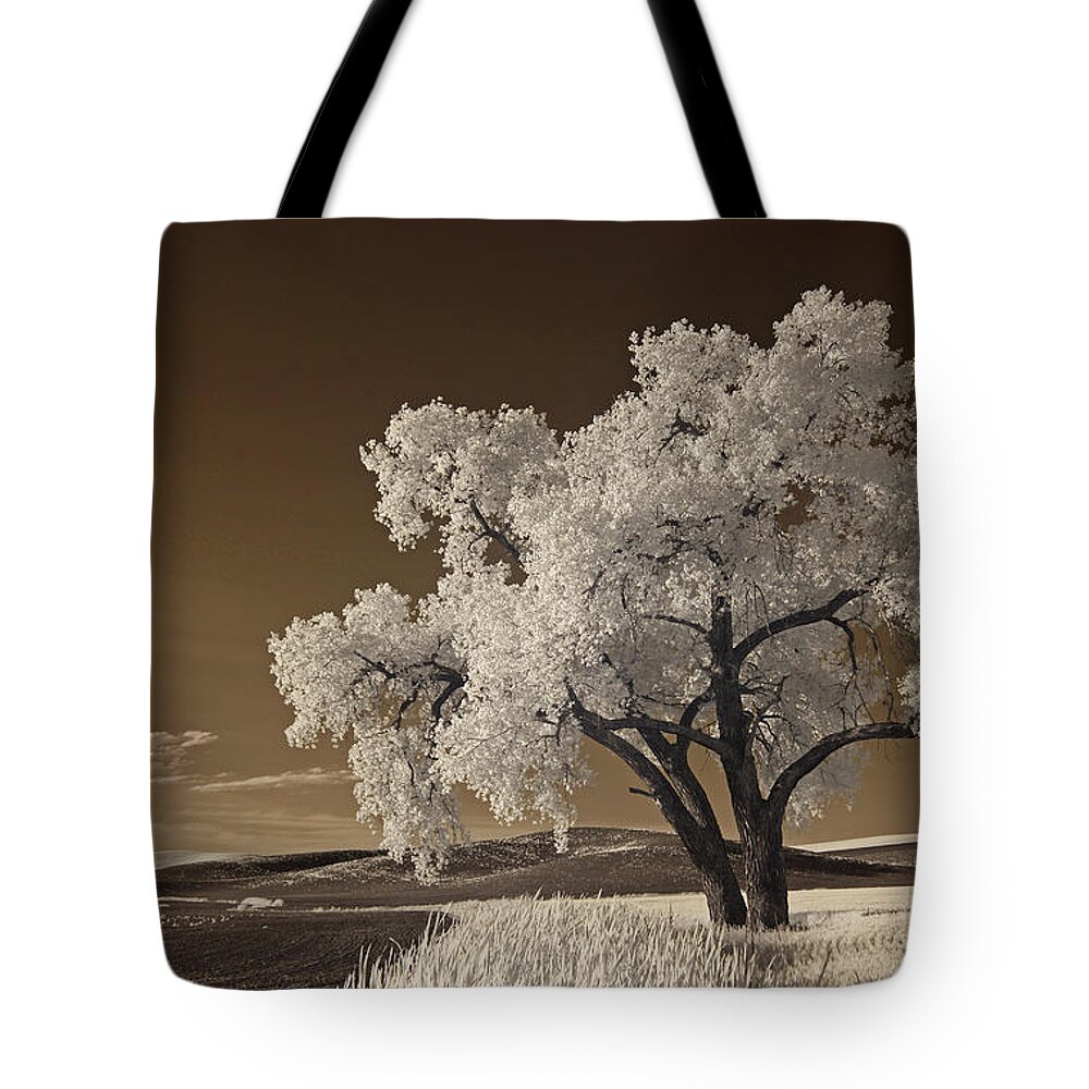 Palouse Tote Bag featuring the photograph Palouse by Bob Cournoyer