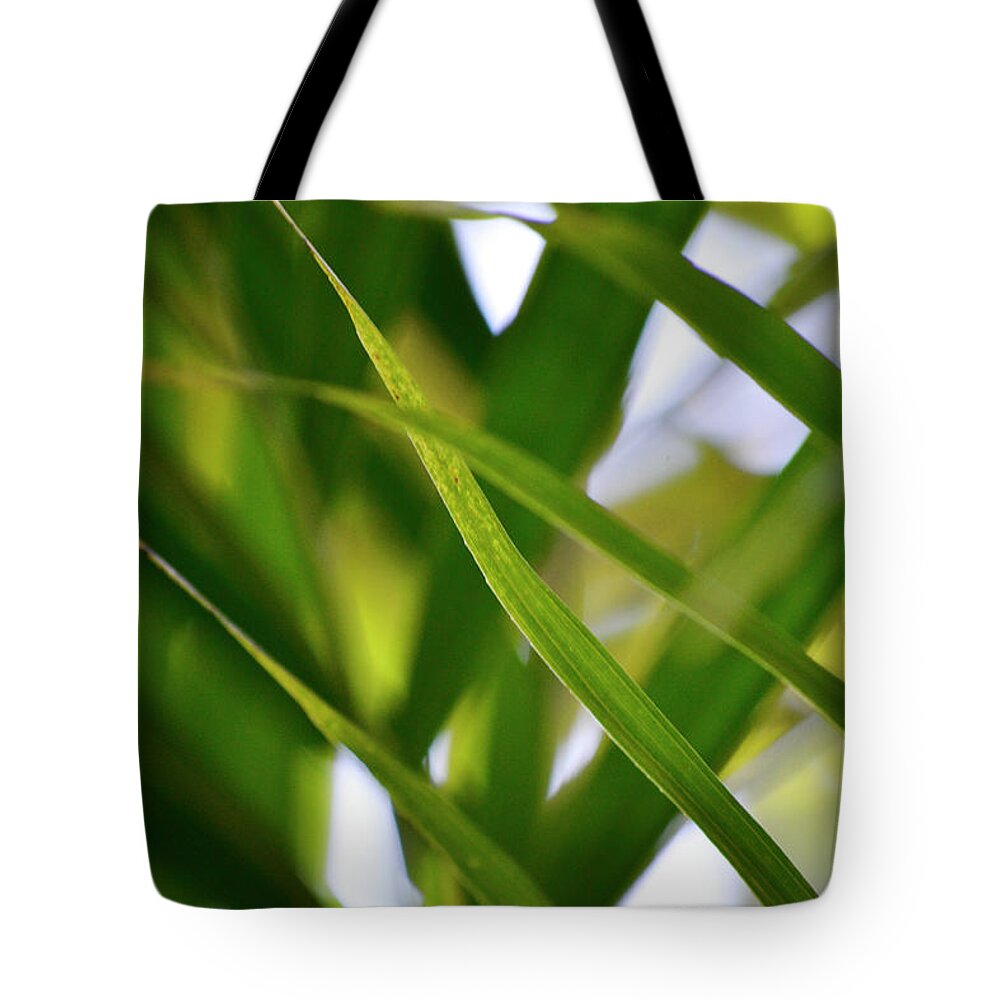 Green Tote Bag featuring the photograph Panic Lines by Melanie Moraga