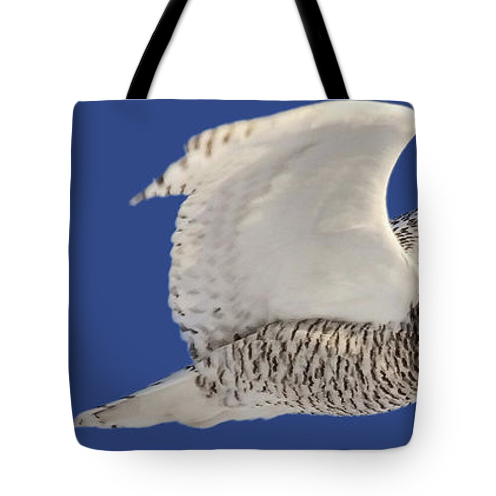  Tote Bag featuring the digital art Panoramic Prairie Snowy Owl by Mark Duffy