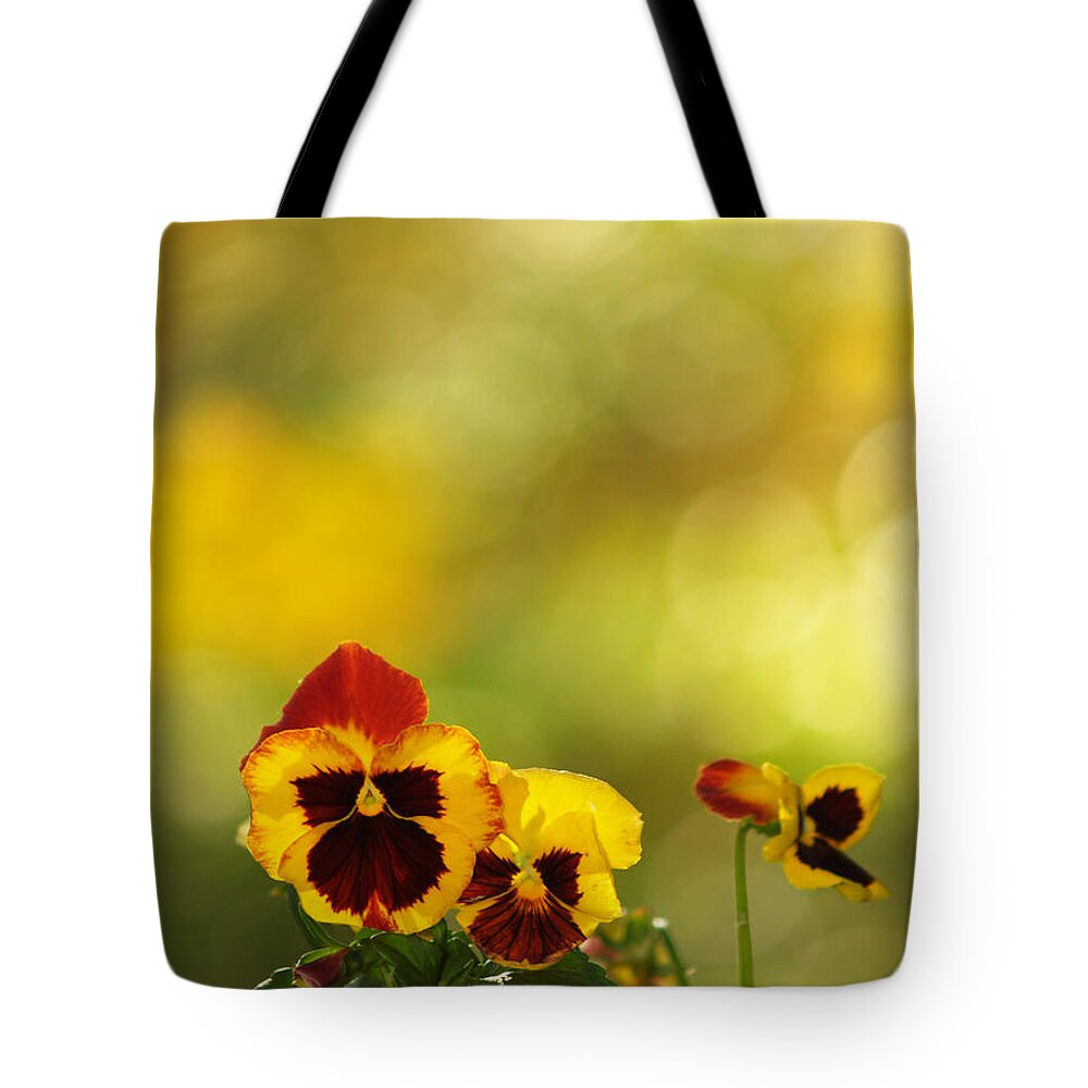 Flowers Tote Bag featuring the photograph Pansies In The Autumn Glow by Dorothy Lee