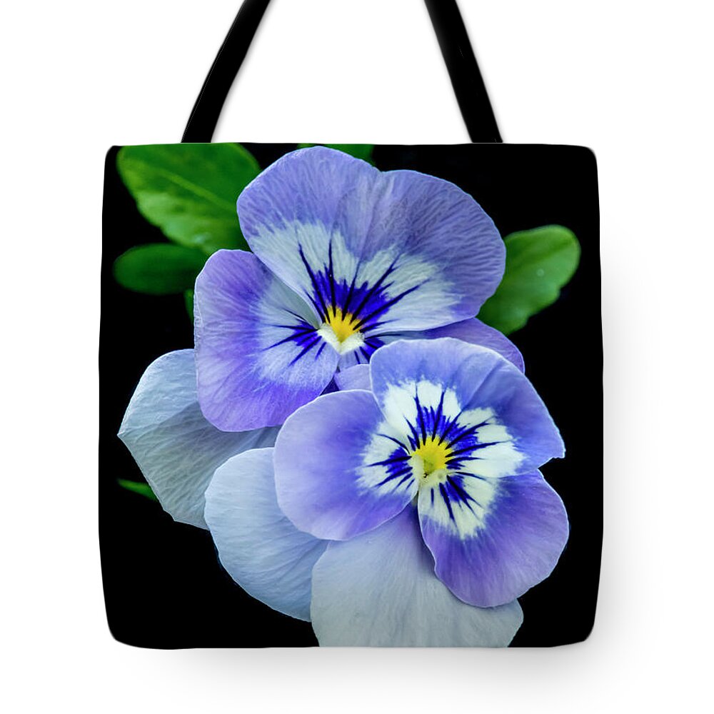 Greeting Card Tote Bag featuring the photograph Pansy Portrait by Cathy Kovarik