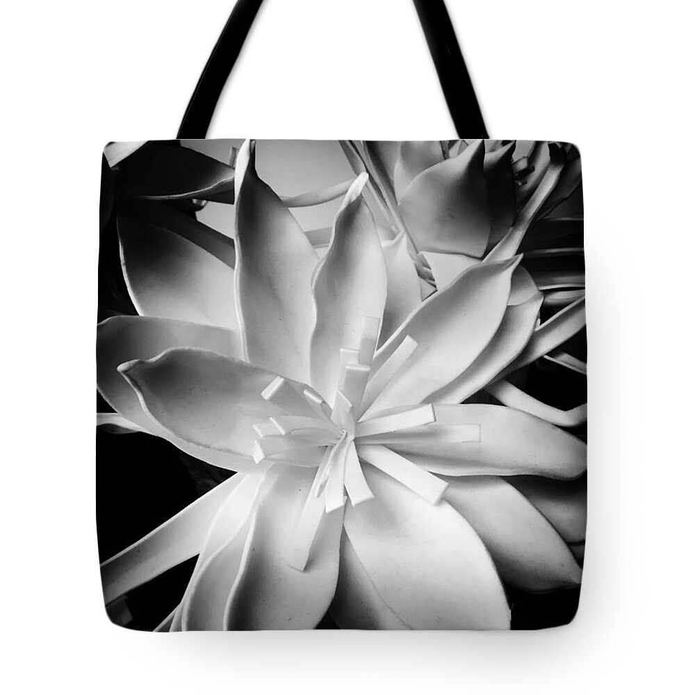 Paper Flower Tote Bag featuring the photograph Paper Daisies by Jenny Revitz Soper
