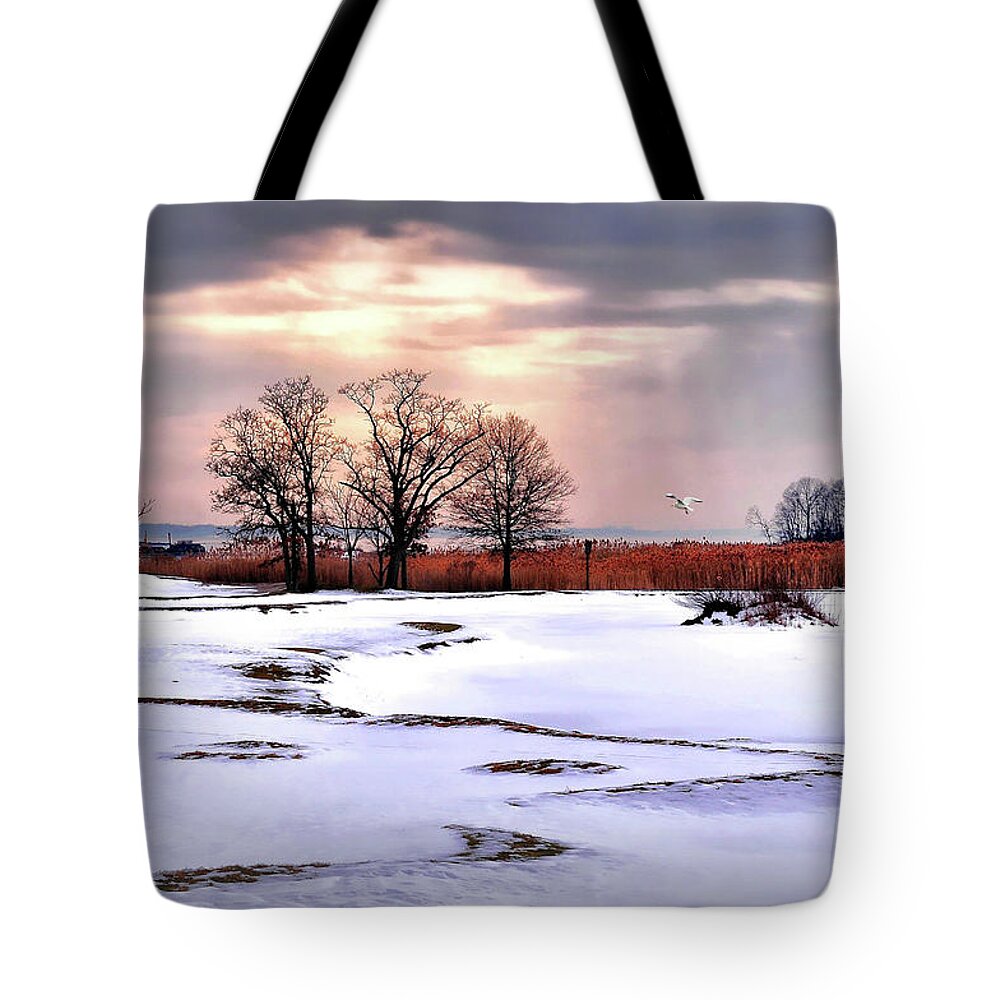 Nature Tote Bag featuring the photograph Par for Winter's Course by Diana Angstadt