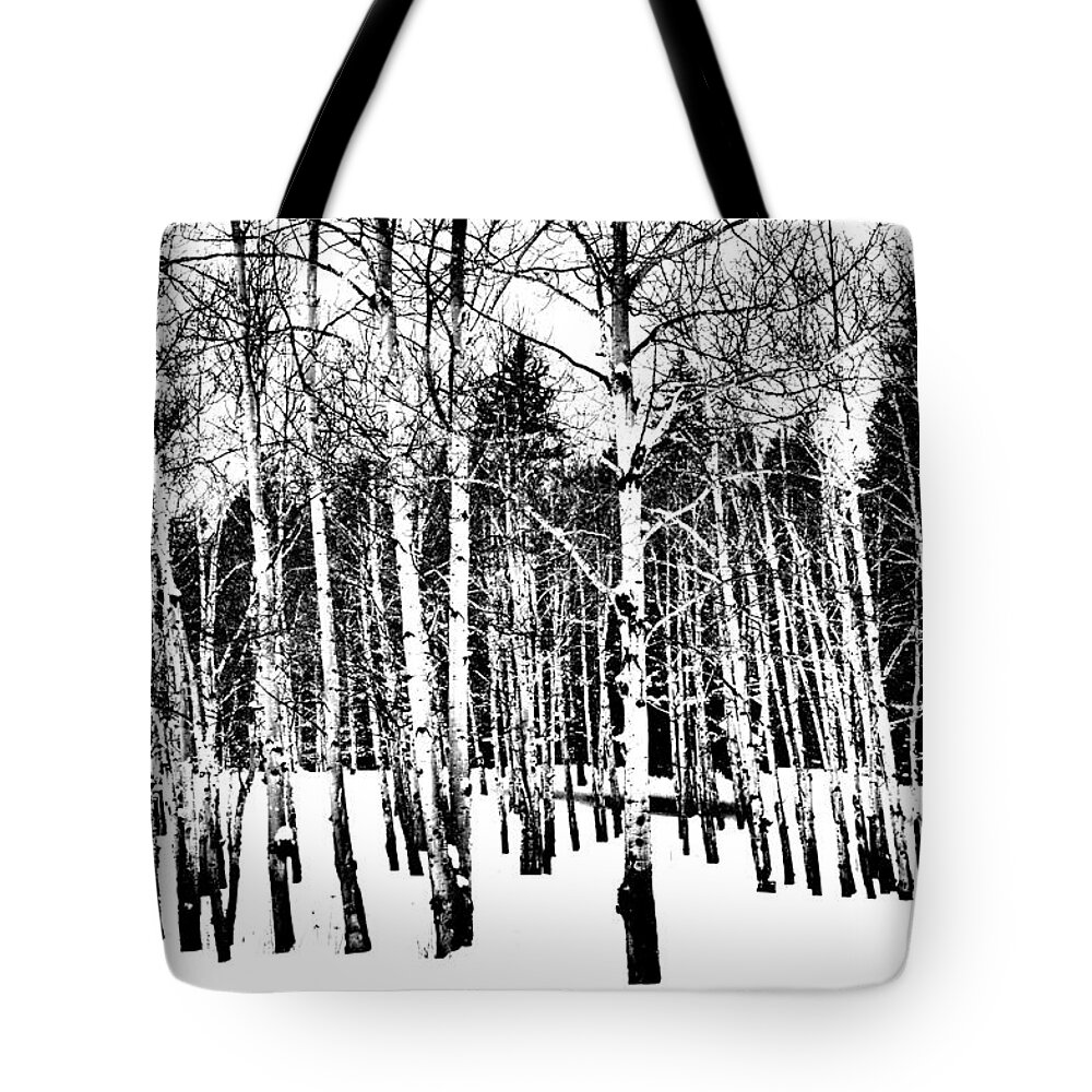 Aspens Tote Bag featuring the photograph Parade of Aspens by Jacqui Binford-Bell
