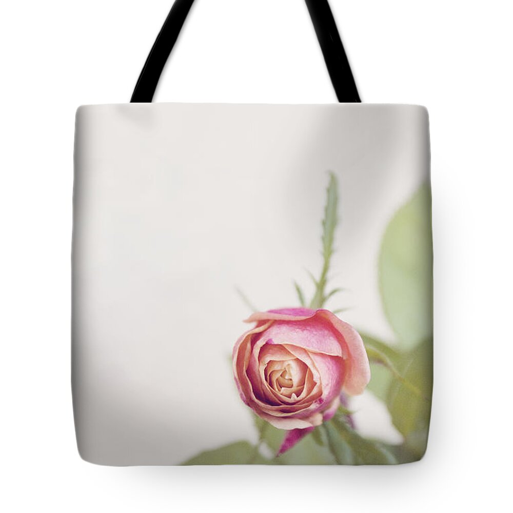 Rose Tote Bag featuring the photograph Parade rosebud by Cindy Garber Iverson