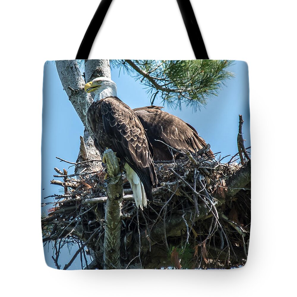 Cheryl Baxter Photography Tote Bag featuring the photograph Parental Watch by Cheryl Baxter