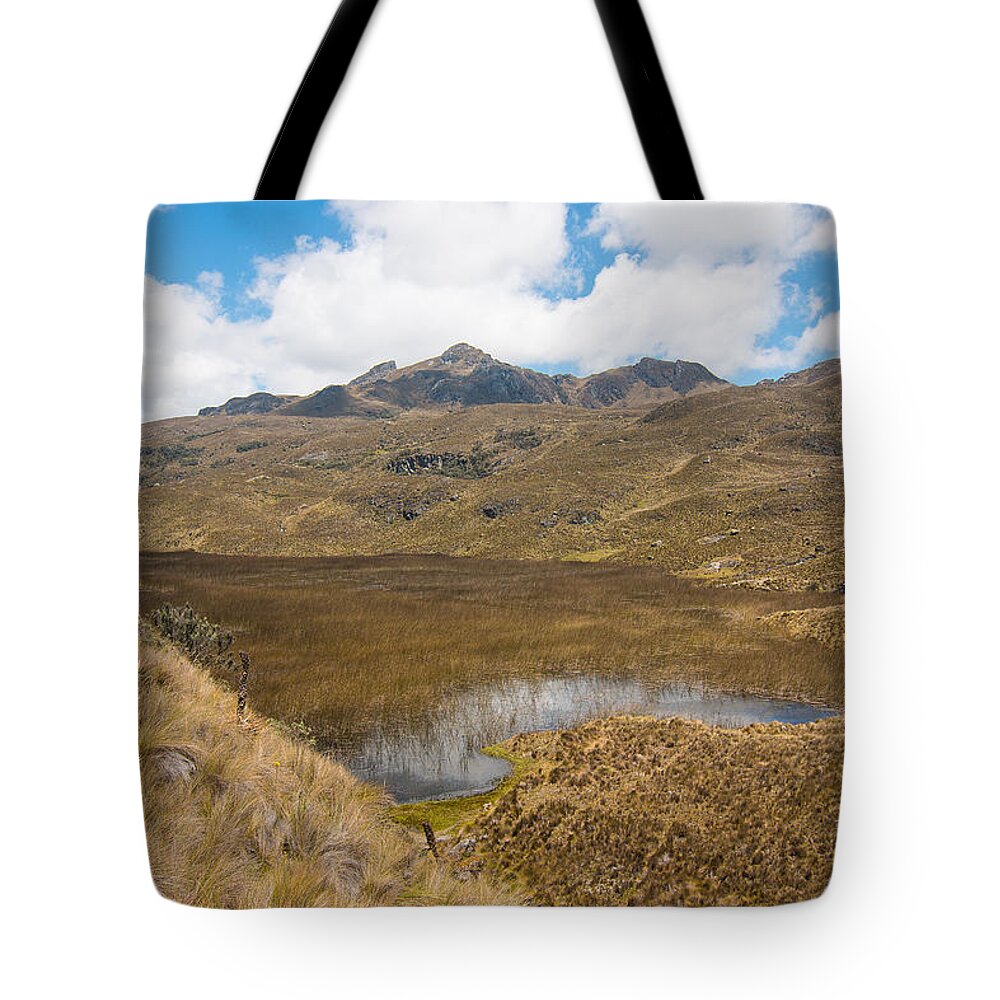 Lakes Tote Bag featuring the photograph Parque Cajas Lakes and Mountains, Ecuador by Robert McKinstry